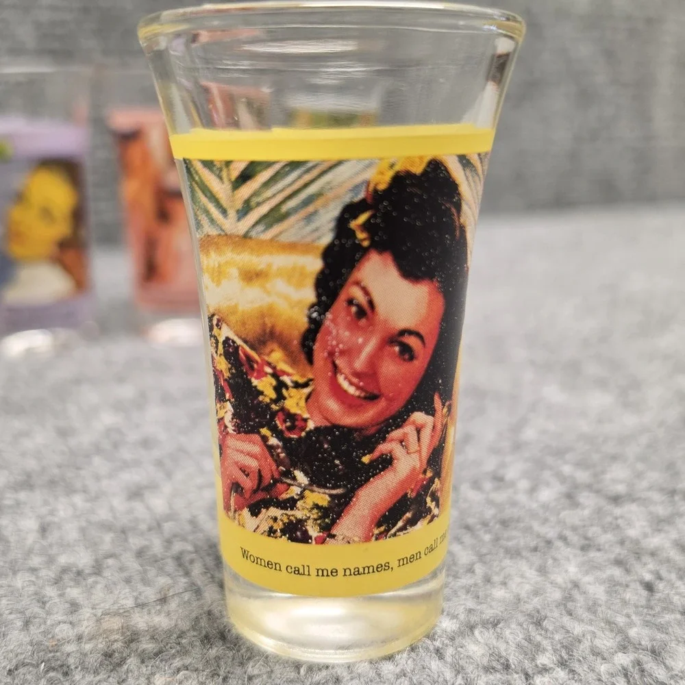 Vintage Anne Taintor Shot Glasses Set of 4 Retro 1950s Funny Humorous Barware